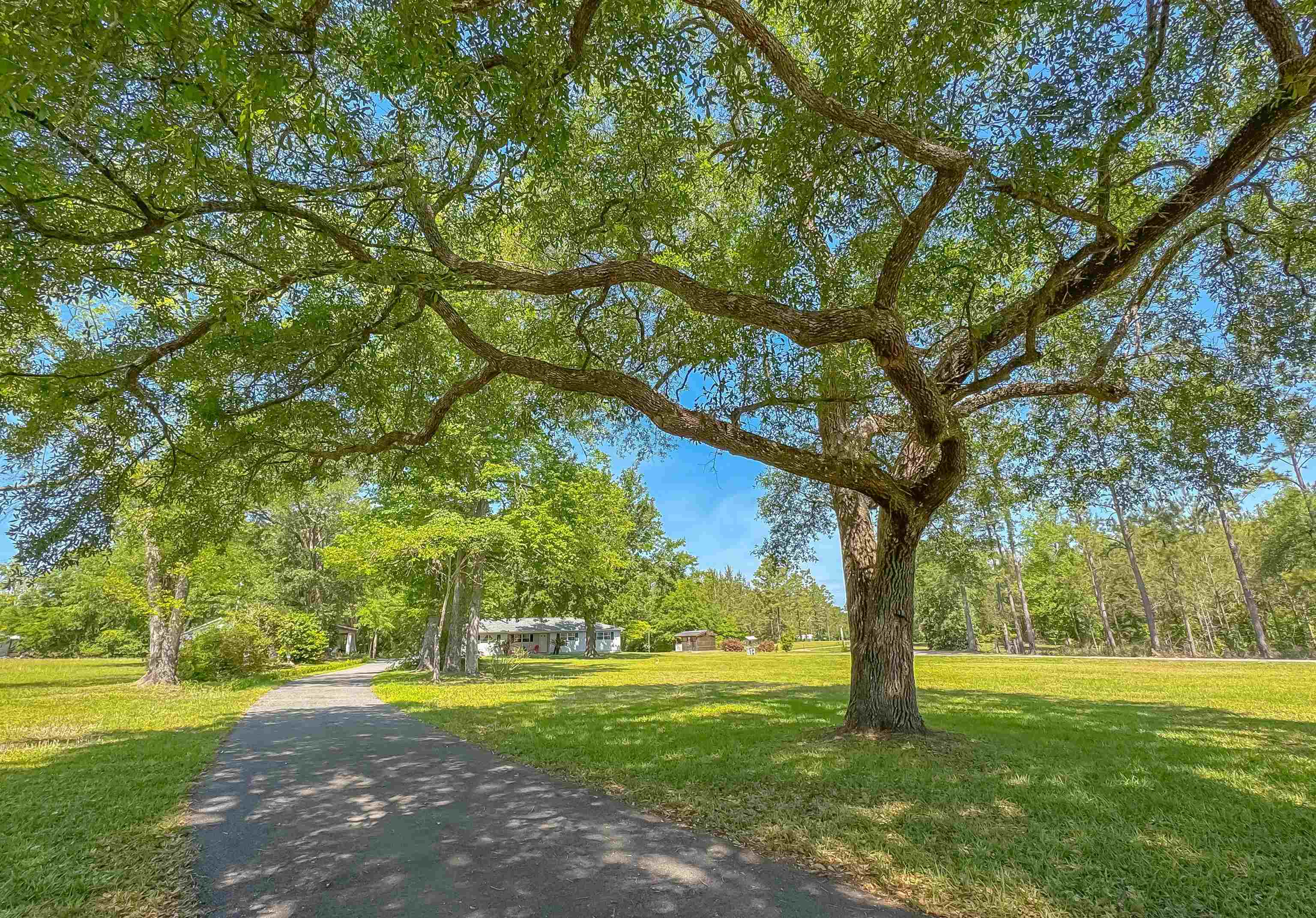4710 Waukeenah Highway