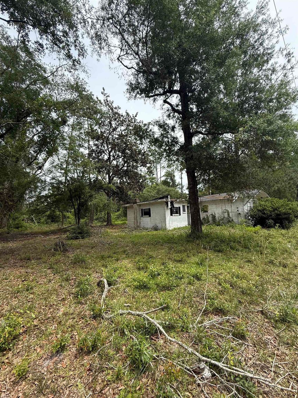 Photo of 8637 Wakulla Springs Road, Tallahassee, FL 32305 (MLS # 388026)