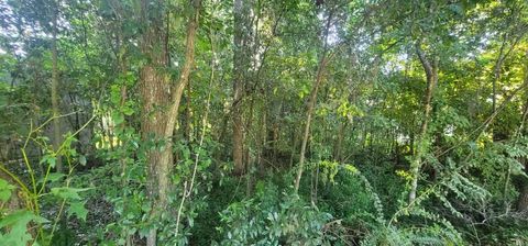 Tiny photo for 427 Stone House Road, Tallahassee, FL 32301 (MLS # 390839)