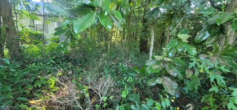 Tiny photo for 427 Stone House Road, Tallahassee, FL 32301 (MLS # 390839)