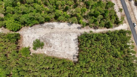 Tiny photo for 13488 Hidden Horse Way, Tallahassee, FL 32305 (MLS # 399258)
