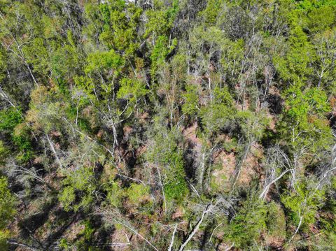Tiny photo for XXX NE Champion Loop, Lee, FL 32059 (MLS # 397870)
