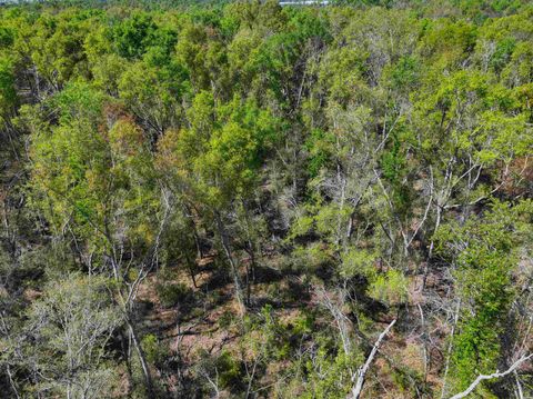 Tiny photo for XXX NE Champion Loop, Lee, FL 32059 (MLS # 397870)