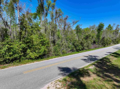 Tiny photo for XXX NE Champion Loop, Lee, FL 32059 (MLS # 397870)