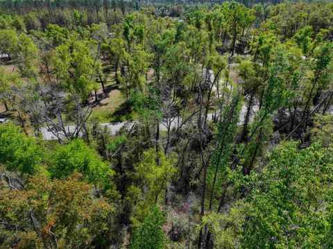 Tiny photo for XXX NE Champion Loop, Lee, FL 32059 (MLS # 397870)