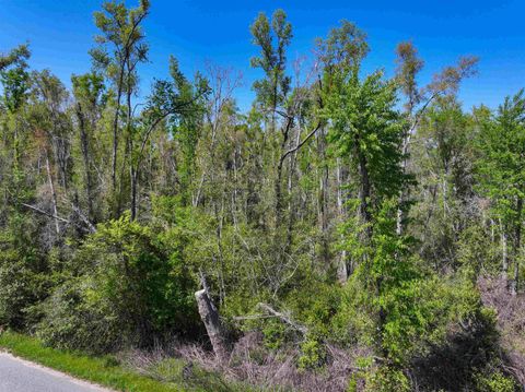 Tiny photo for XXX NE Champion Loop, Lee, FL 32059 (MLS # 397870)
