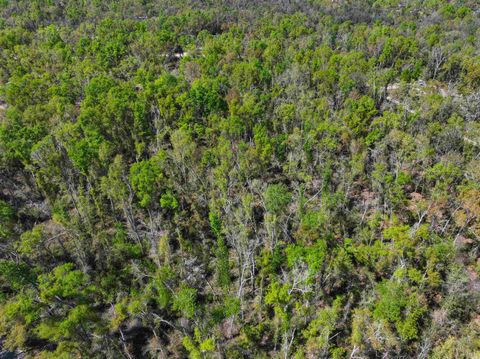 Tiny photo for XXX NE Champion Loop, Lee, FL 32059 (MLS # 397870)