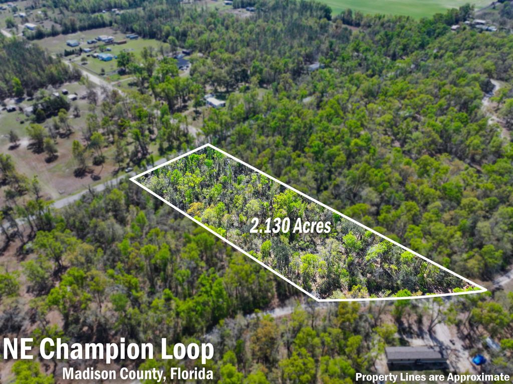 Photo of XXX NE Champion Loop, Lee, FL 32059 (MLS # 397870)