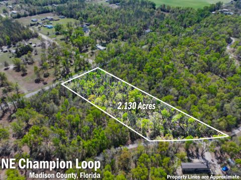 Photo of XXX NE Champion Loop, Lee, FL 32059 (MLS # 397870)