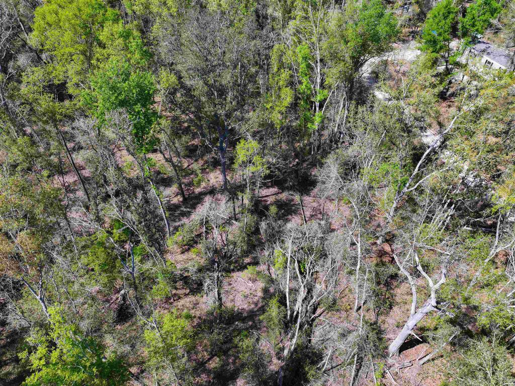 Photo of XXX NE Champion Loop, Lee, FL 32059 (MLS # 397870)