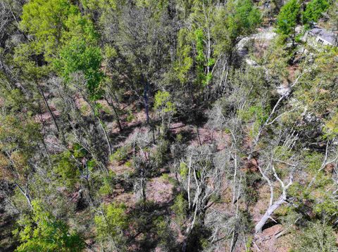 Tiny photo for XXX NE Champion Loop, Lee, FL 32059 (MLS # 397870)