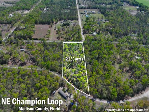 Tiny photo for XXX NE Champion Loop, Lee, FL 32059 (MLS # 397870)