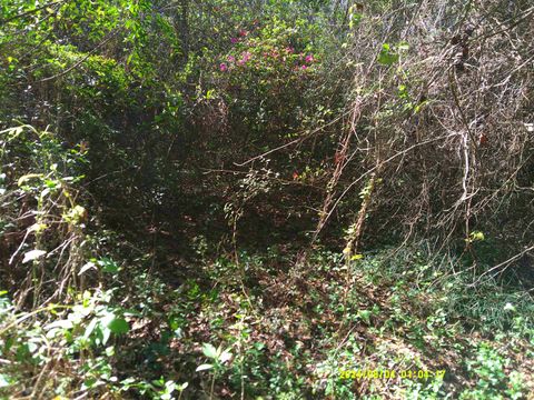 Tiny photo for 7091 THOMASVILLE Road, Tallahassee, FL 32312 (MLS # 397331)