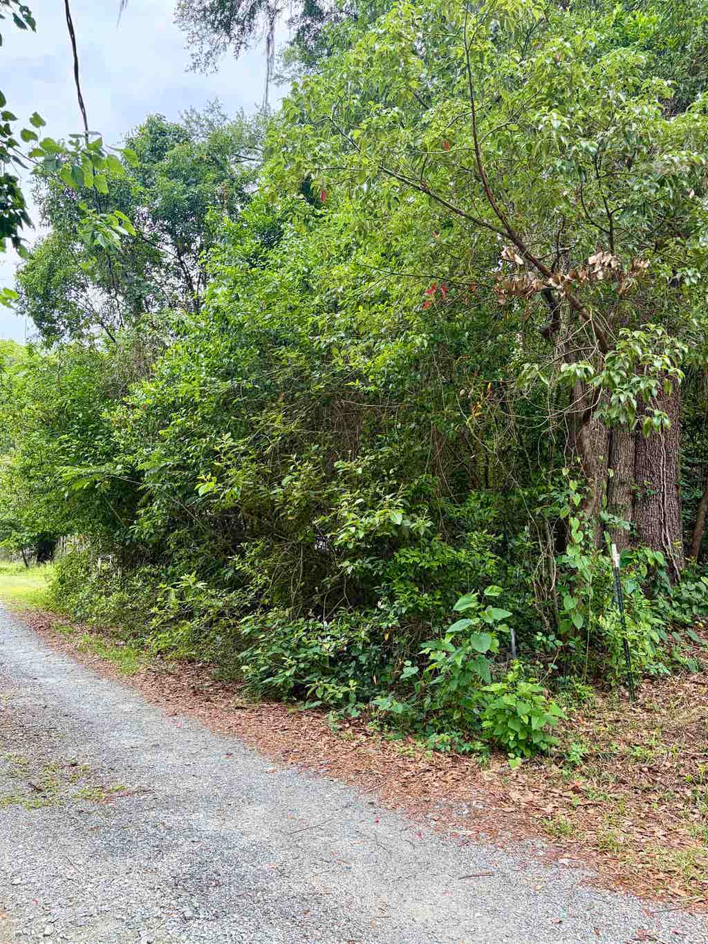 Photo of 2607 RED ARROW Road, Tallahassee, FL 32301 (MLS # 401010)