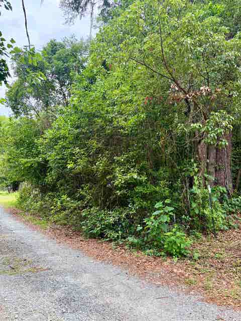 Tiny photo for 2607 RED ARROW Road, Tallahassee, FL 32301 (MLS # 401010)