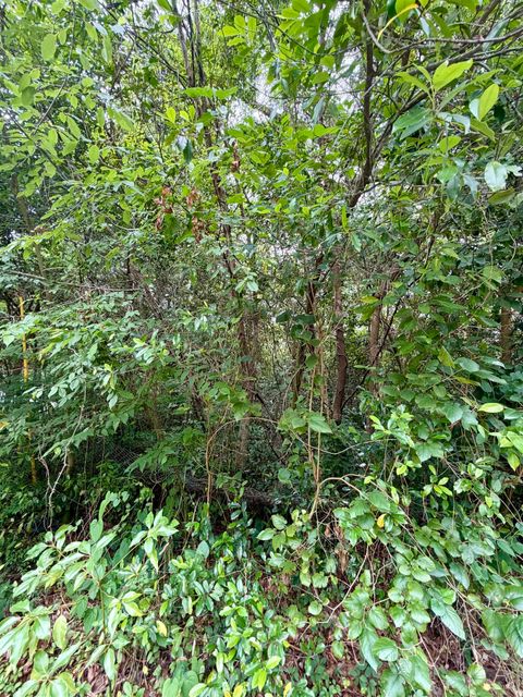 Tiny photo for 2607 RED ARROW Road, Tallahassee, FL 32301 (MLS # 401010)