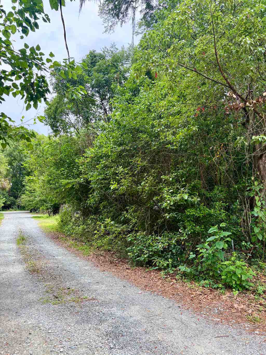 Photo of 2607 RED ARROW Road, Tallahassee, FL 32301 (MLS # 401010)