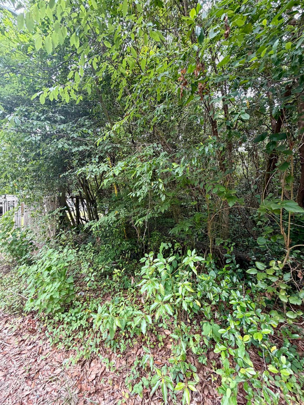Photo of 2607 RED ARROW Road, Tallahassee, FL 32301 (MLS # 401010)
