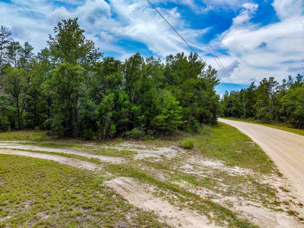 Photo of TBD Ocean Pond Drive, Perry, FL 32348 (MLS # 400543)