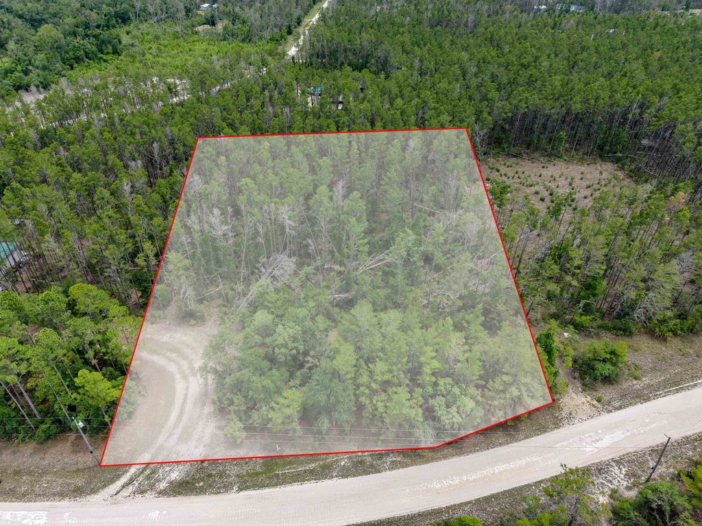 Photo of TBD Ocean Pond Drive, Perry, FL 32348 (MLS # 400543)