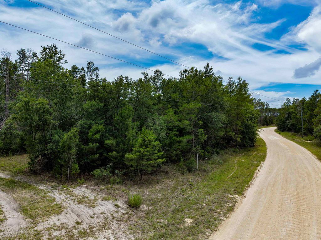 Photo of TBD Ocean Pond Drive, Perry, FL 32348 (MLS # 400543)