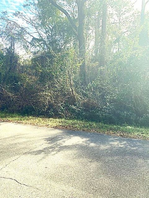 Tiny photo for 0 Barwick Drive #1, Woodville, FL 32305 (MLS # 395606)