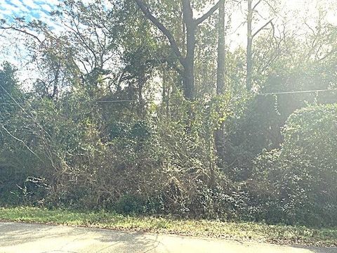 0 Barwick Drive 1 Woodville FL 32305