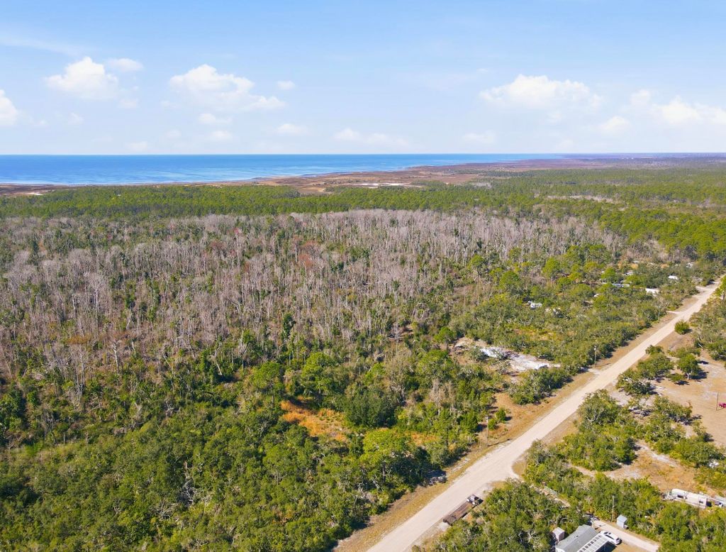 Photo of 16539 W Royal Oak Drive, Keaton Beach, FL 32348 (MLS # 398087)