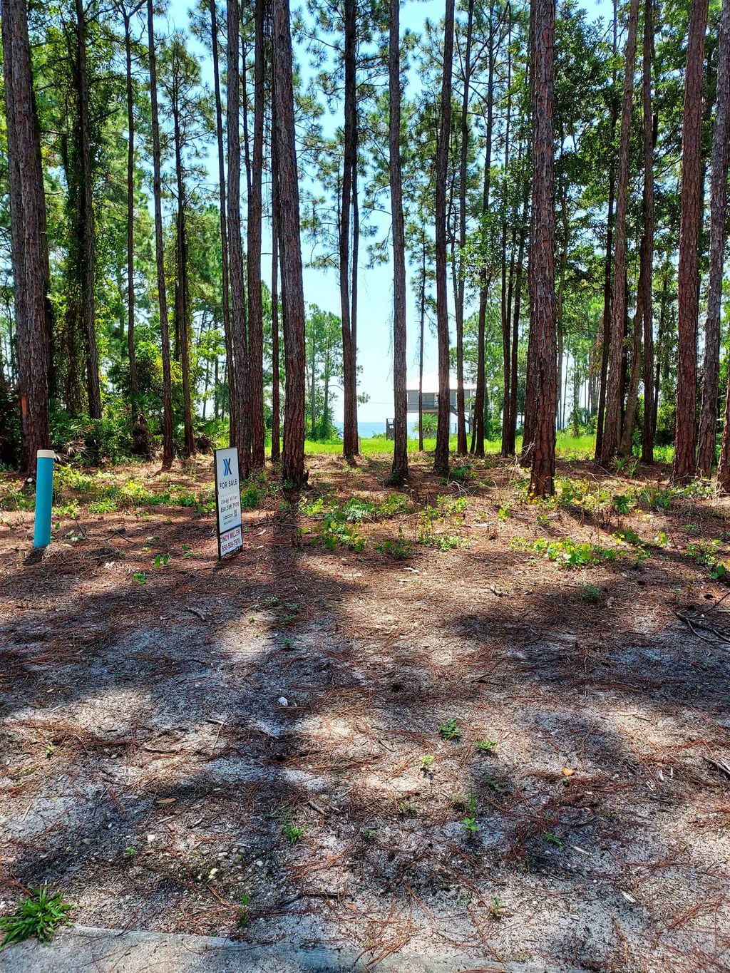 Photo of 164 Royal Tern Way, Carrabelle, FL 32322 (MLS # 391820)