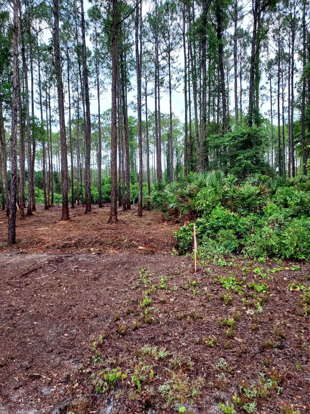 Photo of 164 Royal Tern Way, Carrabelle, FL 32322 (MLS # 391820)
