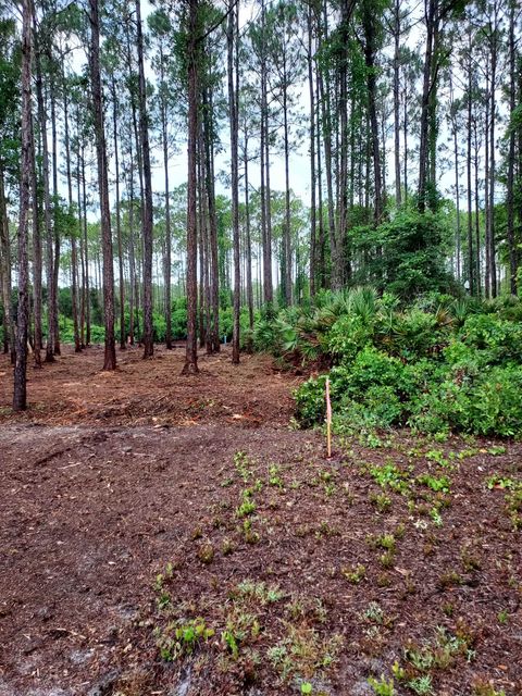 164 Royal Tern Way Carrabelle FL 32322