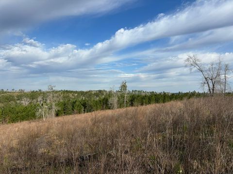 322 Graceland Road, Chattahoochee, FL 32324 - MLS#: 383399
