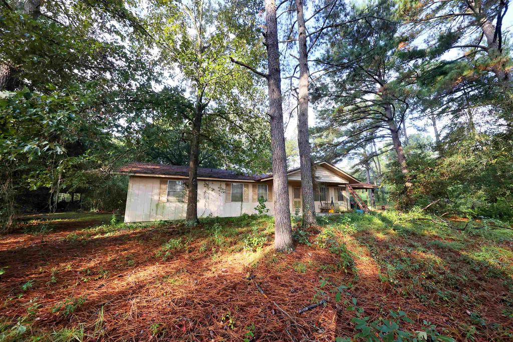 Photo of 23481 N US 19 Highway, Other Georgia, GA 31773 (MLS # 391698)