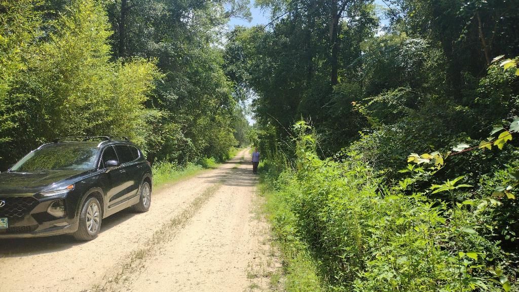 Photo of 0 Cox Road, Monticello, FL 32344 (MLS # 392538)