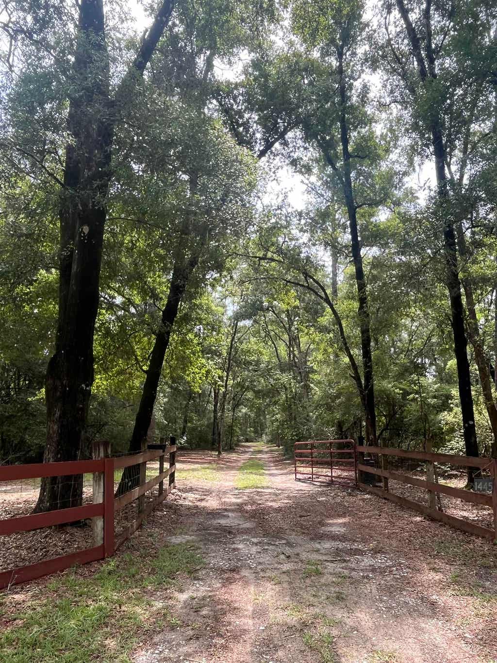 Photo of 1445 Lawhon Mill Road, Crawfordville, FL 32327 (MLS # 403042)