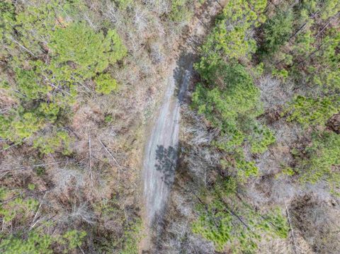 Tiny photo for Vacant 40 Acres Ellison Frith Road, Perry, FL 32348 (MLS # 396968)