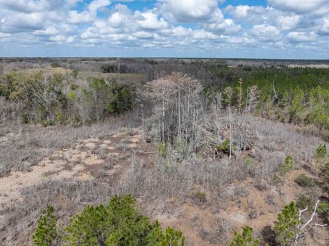 Tiny photo for Vacant 40 Acres Ellison Frith Road, Perry, FL 32348 (MLS # 396968)