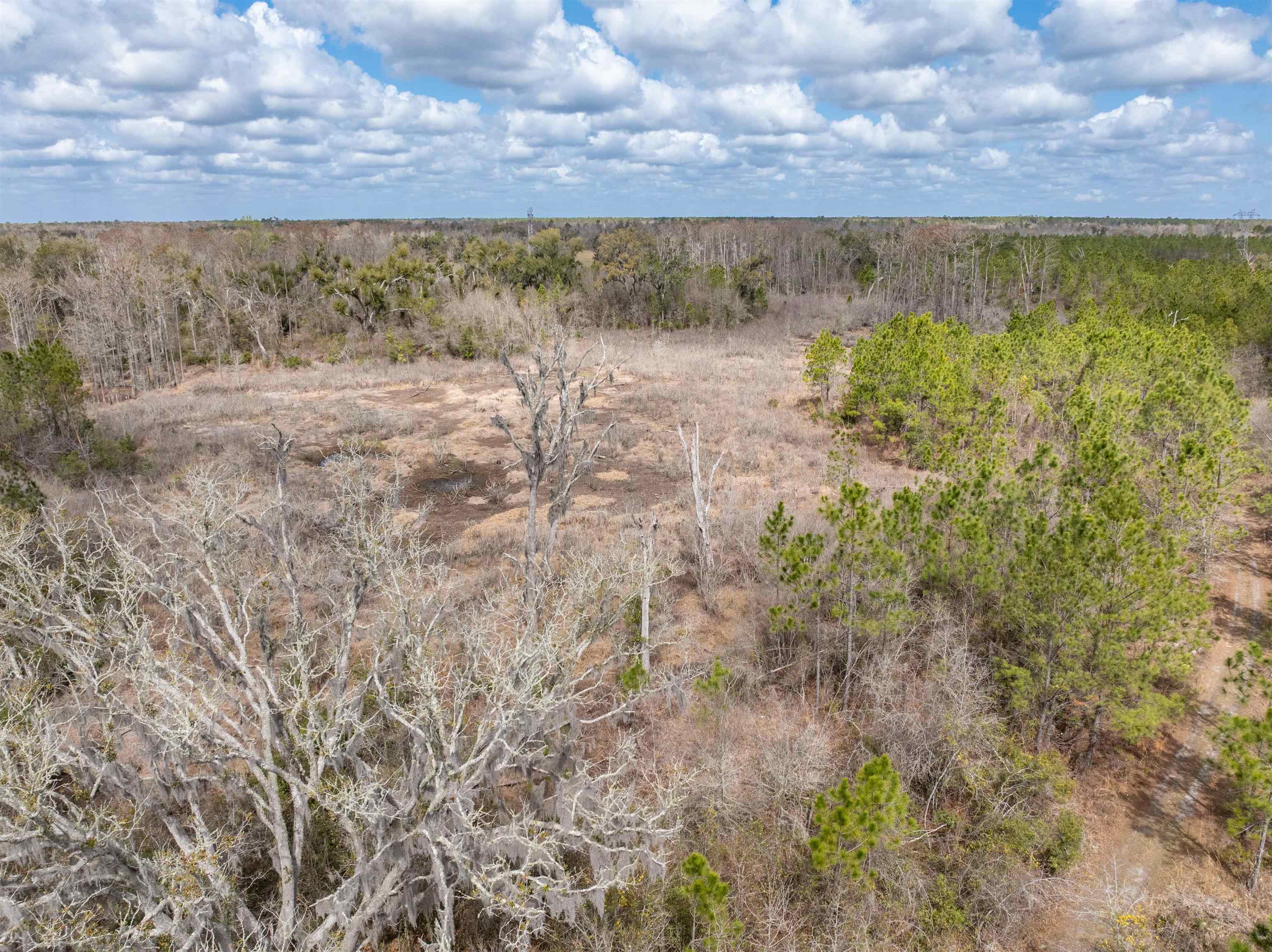 Vacant 40 Acres Ellison Frith Road