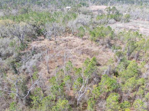 Tiny photo for Vacant 40 Acres Ellison Frith Road, Perry, FL 32348 (MLS # 396968)