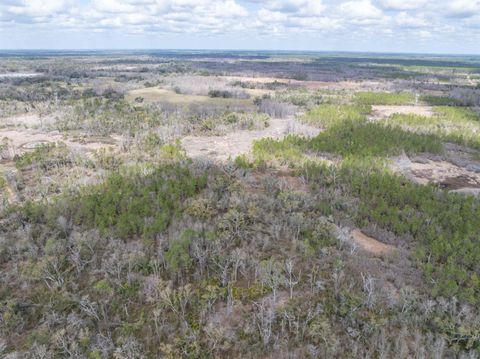 Tiny photo for Vacant 40 Acres Ellison Frith Road, Perry, FL 32348 (MLS # 396968)
