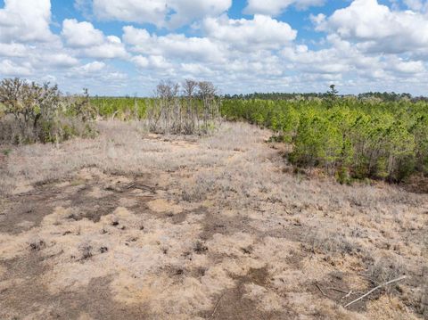 Tiny photo for Vacant 40 Acres Ellison Frith Road, Perry, FL 32348 (MLS # 396968)