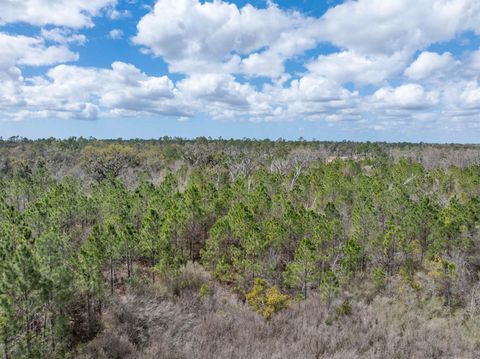 Tiny photo for Vacant 40 Acres Ellison Frith Road, Perry, FL 32348 (MLS # 396968)