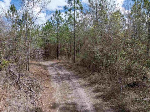 Tiny photo for Vacant 40 Acres Ellison Frith Road, Perry, FL 32348 (MLS # 396968)