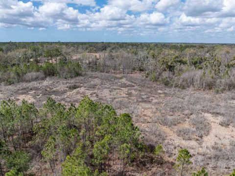Tiny photo for Vacant 40 Acres Ellison Frith Road, Perry, FL 32348 (MLS # 396968)