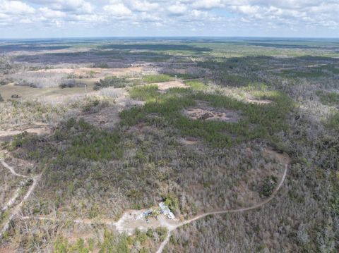 Tiny photo for Vacant 40 Acres Ellison Frith Road, Perry, FL 32348 (MLS # 396968)