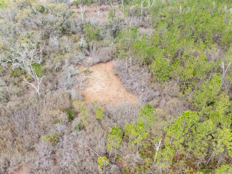 Tiny photo for Vacant 40 Acres Ellison Frith Road, Perry, FL 32348 (MLS # 396968)