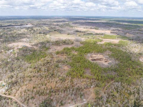 Tiny photo for Vacant 40 Acres Ellison Frith Road, Perry, FL 32348 (MLS # 396968)
