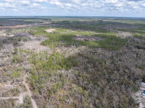 Tiny photo for Vacant 40 Acres Ellison Frith Road, Perry, FL 32348 (MLS # 396968)