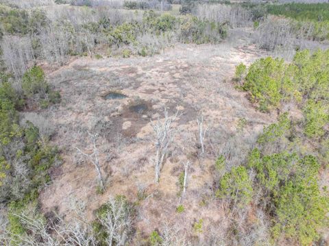 Tiny photo for Vacant 40 Acres Ellison Frith Road, Perry, FL 32348 (MLS # 396968)