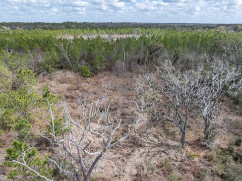 Tiny photo for Vacant 40 Acres Ellison Frith Road, Perry, FL 32348 (MLS # 396968)